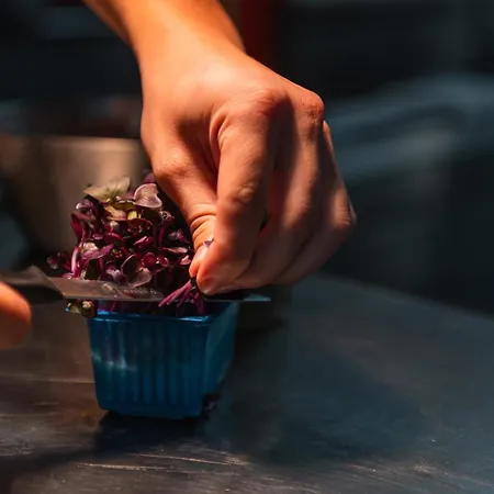 Отель Berg & Urslauerhof Мариа-Альм