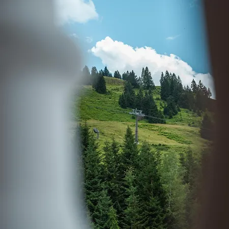 Отель Berg & Urslauerhof Мариа-Альм